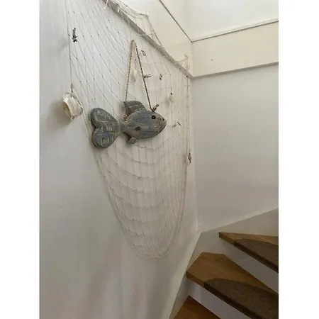 House Rider Apartment